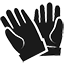 Ski Gloves