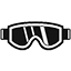Ski Goggles