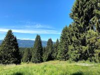 Building for sale in Lavarone (TN)