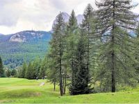 Apartment for sale in Cortina d'Ampezzo (BL)
