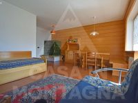 Apartment for rent in Predazzo (TN)