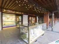 Property for sale in Primiero San Martino di Castrozza (TN)