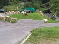 Apartment for sale in Saviore dell'Adamello (BS)