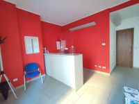 Property for rent in Villanova Mondovì (CN)