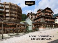 Property for rent in Pinzolo (TN)
