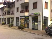 Property for rent in Pellizzano (TN)