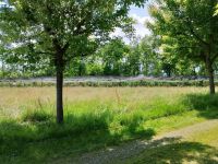Country house / Farmhouse for sale in Bagnolo Piemonte (CN)