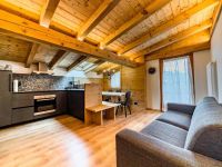 Penthouse / Attic apartment for rent in Carisolo (TN)