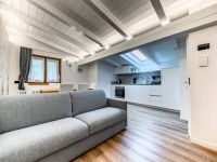 Penthouse / Attic apartment for rent in Carisolo (TN)