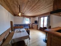Apartment for rent in Cortina d'Ampezzo (BL)