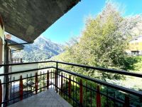 Apartment for sale in Casteldelfino (CN)