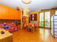 Apartment for sale in Casteldelfino (CN)