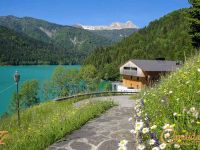Loft / Open-plan space for sale in Sauris (UD)