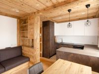 Apartment for rent in Cortina d'Ampezzo (BL)