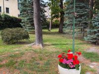 Apartment for rent in Bardonecchia (TO)