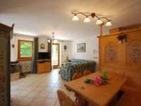 Apartment for rent in Auronzo di Cadore (BL)