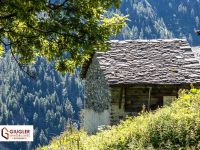 Country house / Farmhouse for sale in Gressoney-Saint-Jean (AO)