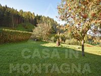 Apartment for rent in Ziano di Fiemme (TN)
