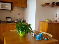 Apartment for sale in Frabosa Sottana (CN)