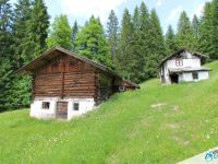 Country house / Farmhouse for sale in Primiero San Martino di Castrozza (TN)