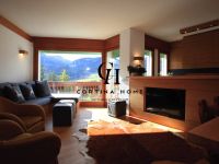 Apartment for rent in Cortina d'Ampezzo (BL)