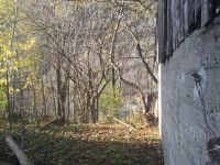 Country house / Farmhouse for sale in Temù (BS)