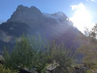 SnowKaya Grindelwald