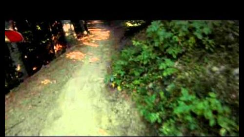 Sestola falco rosso wild boars.avi