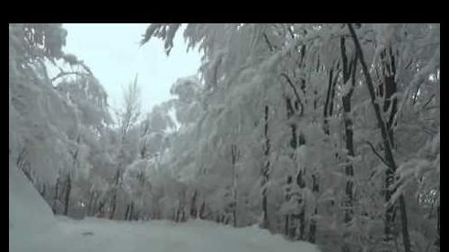 Sestola - da pian del falco a passo del lupo- honda crv