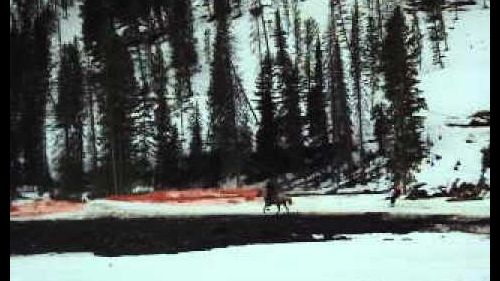 Ski Joring!
