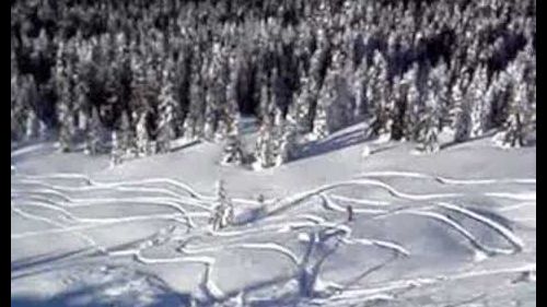 Neve fresca