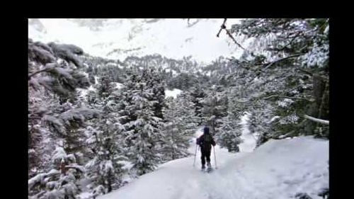 La neve del seceda