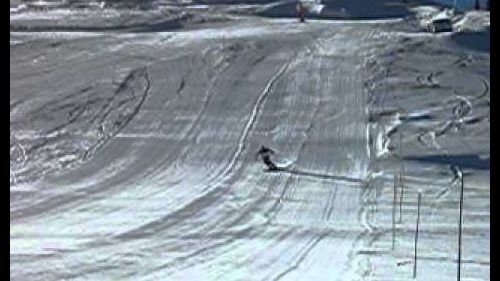 Foligno un cammello sulla neve di cervinia