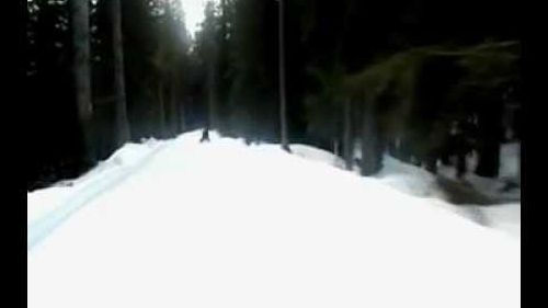 Discesa con slittino san candido