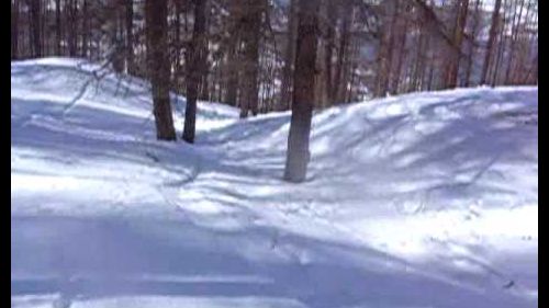 Fuori pista pt. 3 neve fresca sauze d'oulx (02/2009)