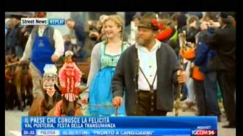 Ritorno del bestiame dall'alpeggio a terento in val pusteria (reportage da tgcom 24 mediaset)
