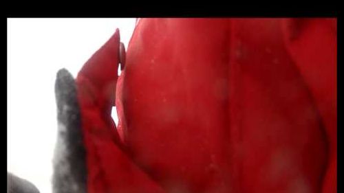 Gopro hero 2 hd 1080p spectacular ski fail  (cie la neva !!!)