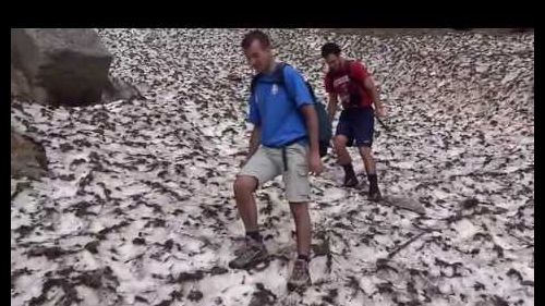 Alagna valsesia: marcello, mattia e la neve...