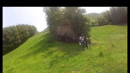 Freeride mountainboard al cimone 013 n1