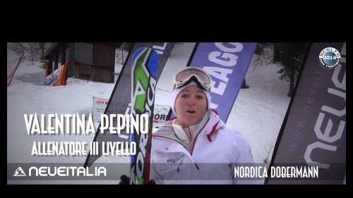 Nordica dobermann gs-r evo edt  - neveitalia ski test 2013-2014