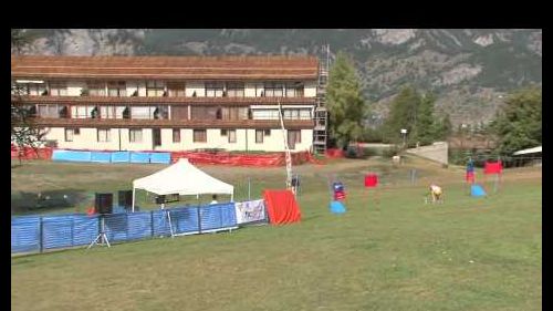 Sci d'erba - sansicario - talento verde i manche slalom gigante