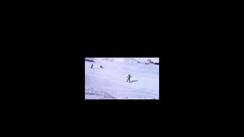 We are telemark skiers
