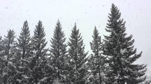 Prima neve a la thuile!