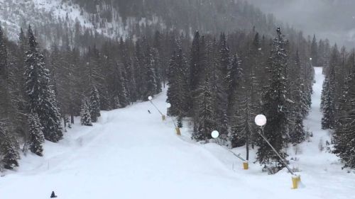 Ledrun cervinia
