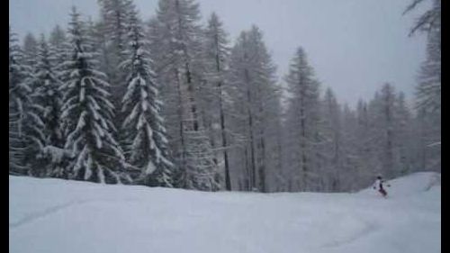 Neve-fresca