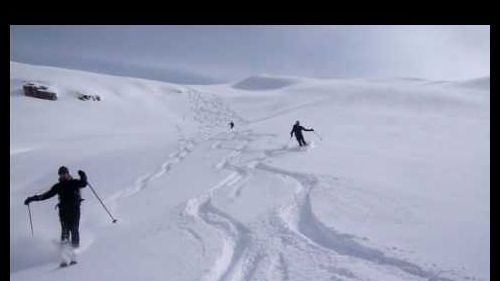 Parallel skiing in top powder; dolomites of braies - south tyrol