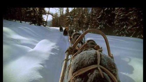Warren Miller's