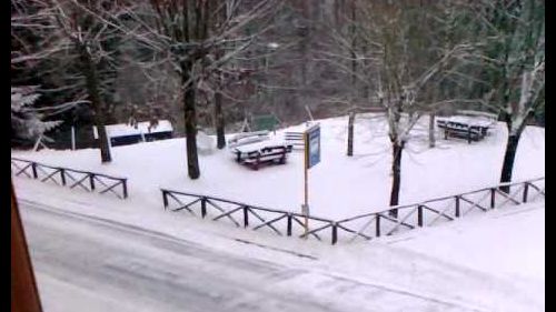 Neve a la lima (abetone)