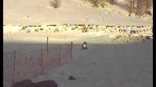 Ciccio in motoslitta a roccaraso