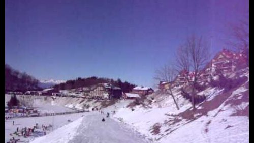 Freccia delle nevi sul bob a prato nevoso.